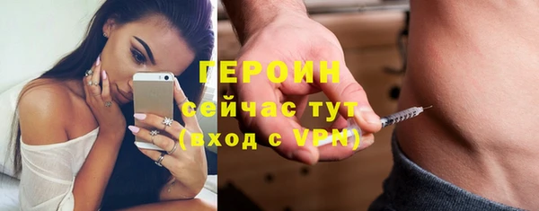 прущие грибы Вяземский